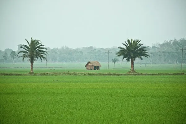Second About Image